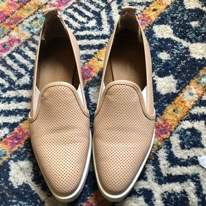 Everlane street sneaker shoe